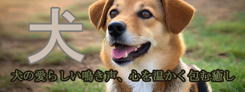 犬の愛らしい鳴き声、心を温かく包む癒し